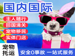烟台航空空运国际宠物托运 【国